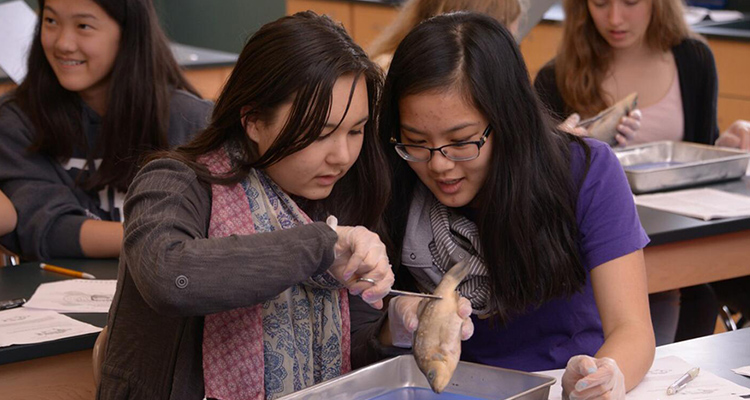 圣名学院